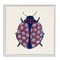 Stupell Industries Rose Blooming Beetle Framed Giclee Wall Art Design by Yvette St. Amant